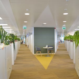 pasillo de oficina Lilly con alfombra beige y panel acustico en las paredes