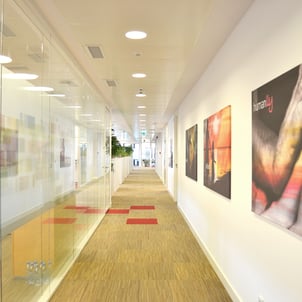 interior oficina Lilly, pasillo com mampara de cristal y moqueta beige