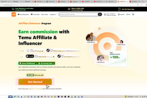 temu on onlinehiddencash.com