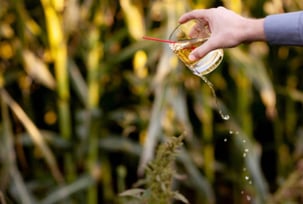 libation ritual - the act of pouring a drink for the deceased