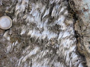 Veine d'actinolite-amiante. ©C.Coutin, Rutali, Haute-Corse