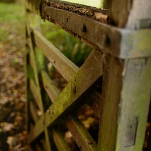 Wooden entrance to the churchyard. Creator: Slawek Dejneka