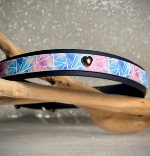 collier chien