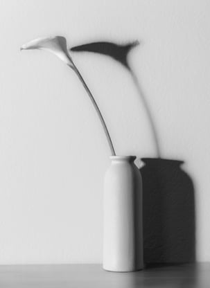 Still Life B&W