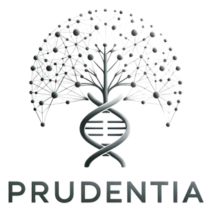 Prudentia Digital Marketing logo