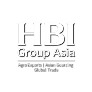 HBI GROUP ASIA logo