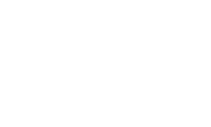 Fevorr Concepts logo