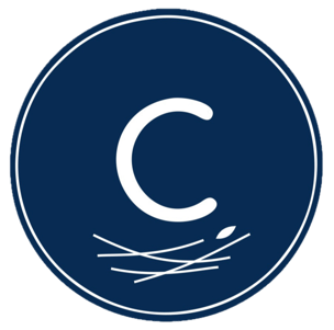 CleanNest logo