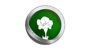 Costus Lithium logo