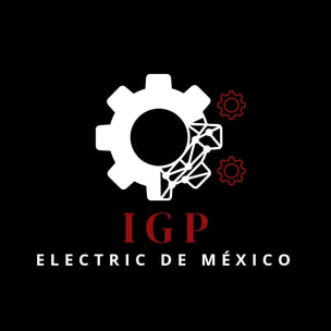 IGP ELECTRIC DE MEXICO logo