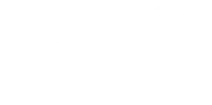 DJ Boss in Portugal logo