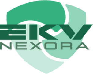 EKVision logo