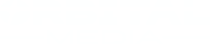 Orbital Media logo