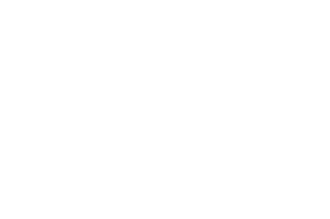 Lelite logo