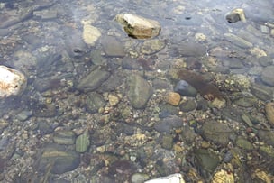 Photo of a tide pool