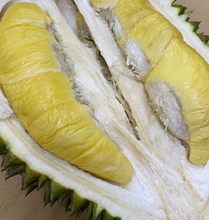 durian, also known as the king of fruits. a yellow custardy sweet or bitter fruit in spike exterior