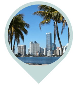 Miami city skyline with palm trees, symbolizing local home organizing services.