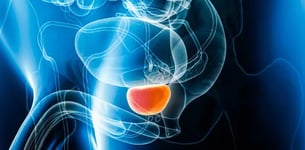 ecografia vescica prostata svuotamento vescicoprostatica