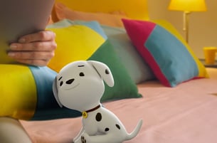 10 Club, Aditya Satyajit, One For Love, Ad film, Animation, a dog sitting on a bed with a laptop