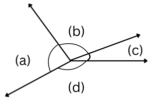 NAPLAN YEAR 3 Angles