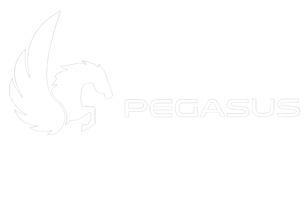 pegasus-data-analytics
