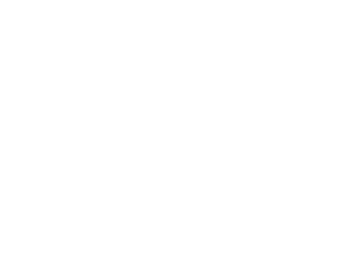 LOGO SUBVERSARTE