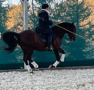 a person riding a horse in a rorking equitation style