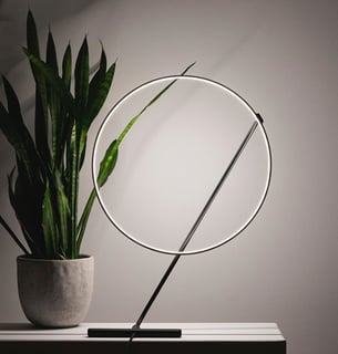 a plant in a potted planter with a minimalistic lamp on the table