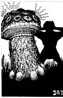 Shrieker