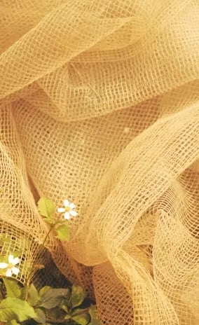 SthayiVastra Organic clothing in India Next startup by RisingIndia India's first venture studio 