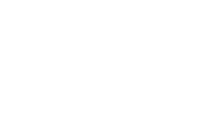 Vivo Dental Clinic logo