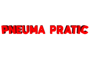 Pneuma Pratic logo