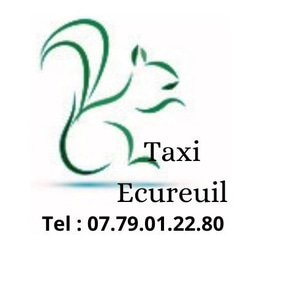 ecureuil taxi logo