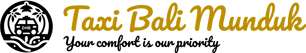 DNB TAXI BALI logo