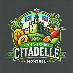 Vision citadelle logo