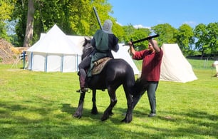 Freye Ritterschaft Rossfechten