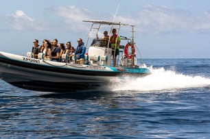 boat cruise by