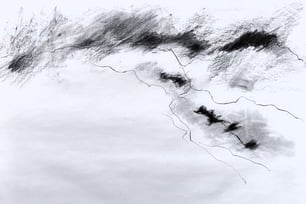 Paysage imaginaire 220625 - fusain sur papier - - 65X50 - 2025