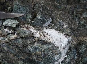 Serpentinites à veines de trémolite-amiante. ©C.Coutin, Luggo-di-Nazza, Haute-Corse