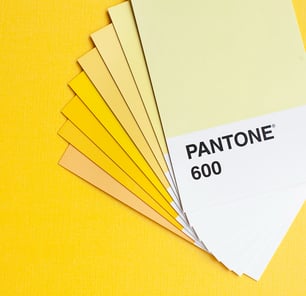 palette couleur jaune