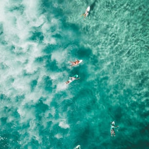 Escuela de surf Gran Canaria