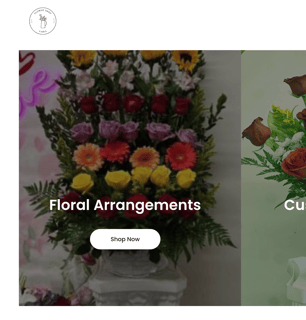Website Sample