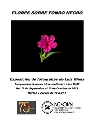 Exposicion Luis Gines