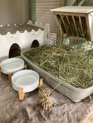 rabbit hay tray & ceramic bowls