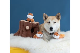 a dog is sitting on a furry rug with a stuffed animal