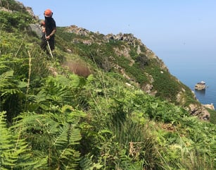 land_culture_services_conservation
