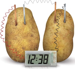 Quirky potato-powered digital clock science gadget