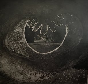 Oeil de raie