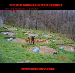 The Old Mountain man Kennel, Lester Hughes APBT Yard Tour
