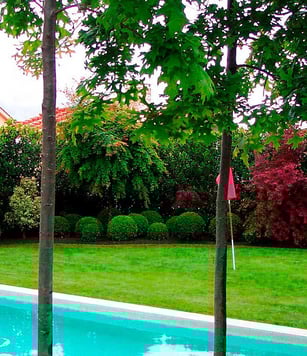 cortacésped torredembarra, altafulla y tarragona jardinero profesional